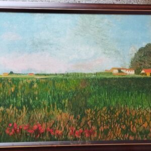 Farm House and Green Fields