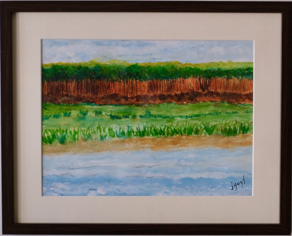 Seashore with Trees