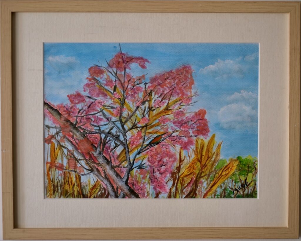 Pink Flowered Tree