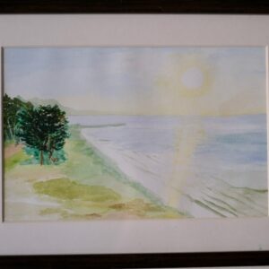 Seashore along the Coast